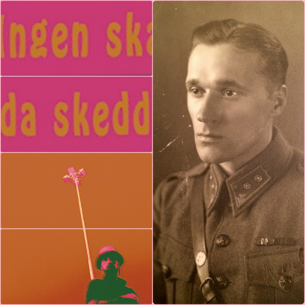 ingen-skada-skedd-collage